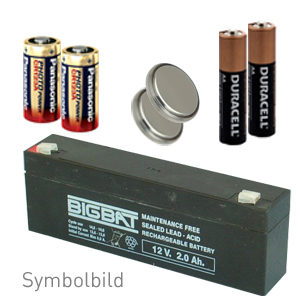 Batterieset