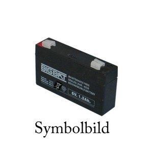 Akku 6V 1,2Ah UL1.3-6